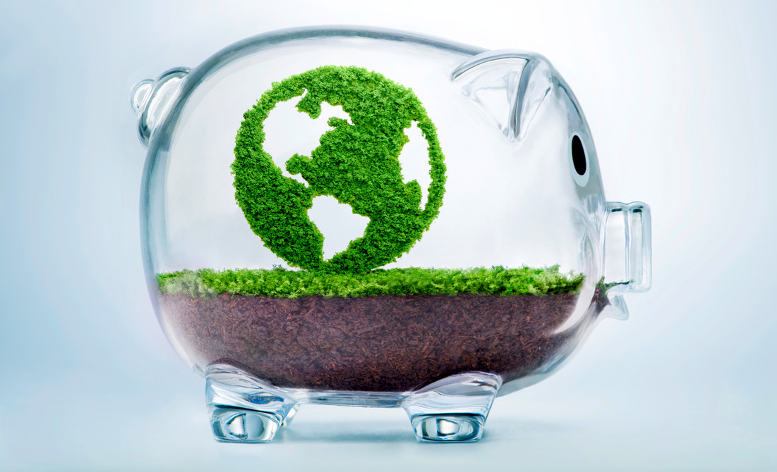 Invest for a Cooler Planet: Climate-Conscious Strategies